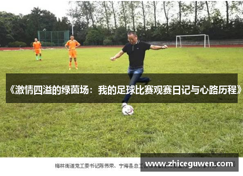 《激情四溢的绿茵场：我的足球比赛观赛日记与心路历程》