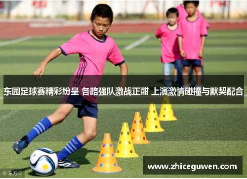 东园足球赛精彩纷呈 各路强队激战正酣 上演激情碰撞与默契配合